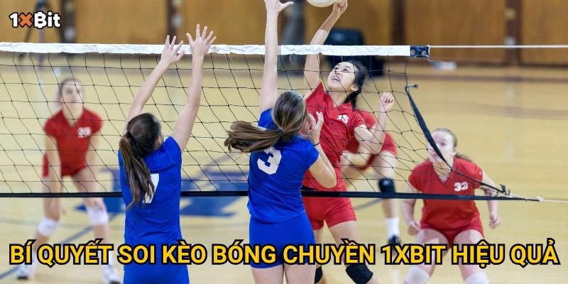 Bóng chuyền 1xbit – Nên đặt cược theo chiến lược nào để tối ưu lợi nhuận? 3 Bí quyết soi kèo bóng chuyền 1xbit hiệu quả