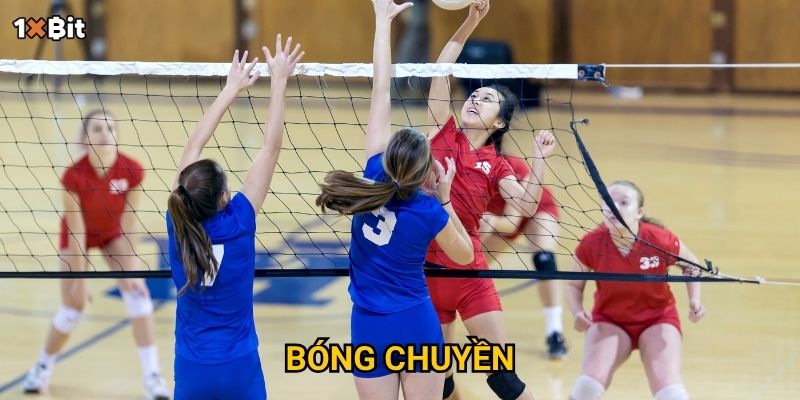 Bóng chuyền 1xbit – Nên đặt cược theo chiến lược nào để tối ưu lợi nhuận?