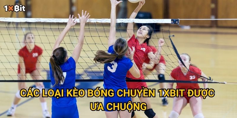 Bóng chuyền 1xbit – Nên đặt cược theo chiến lược nào để tối ưu lợi nhuận? 2 Các loại kèo bóng chuyền 1xbit được ưa chuộng