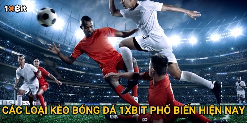 Bóng đá 1xbit – Cần lưu ý điều gì để soi kèo chính xác nhất? 2 Các loại kèo bóng đá 1xbit phổ biến hiện nay