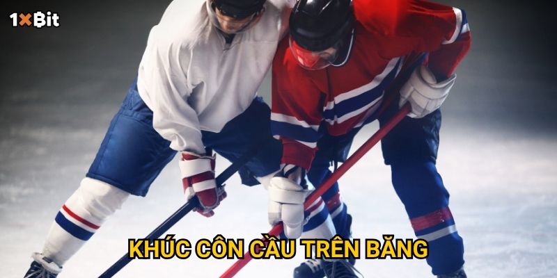 Khúc côn cầu trên băng 1xbit – Làm sao để dự đoán kết quả chính xác và thắng kèo?